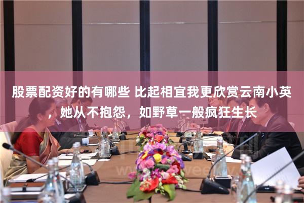 股票配资好的有哪些 比起相宜我更欣赏云南小英，她从不抱怨，如野草一般疯狂生长