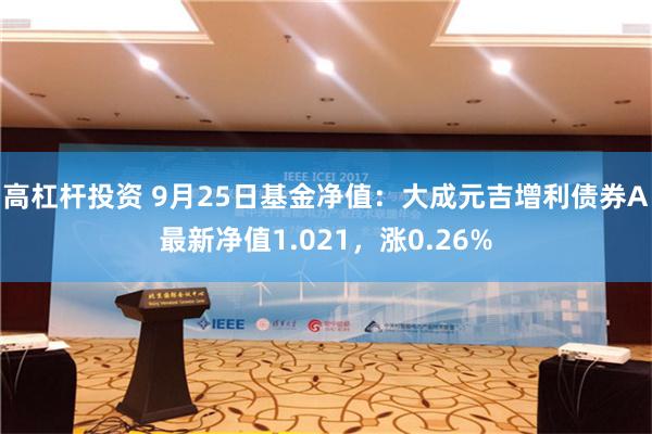 高杠杆投资 9月25日基金净值：大成元吉增利债券A最新净值1.021，涨0.26%