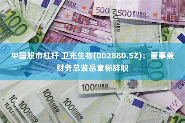 中国股市杠杆 卫光生物(002880.SZ)：董事兼财务总监岳章标辞职
