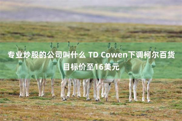 专业炒股的公司叫什么 TD Cowen下调柯尔百货目标价至16美元