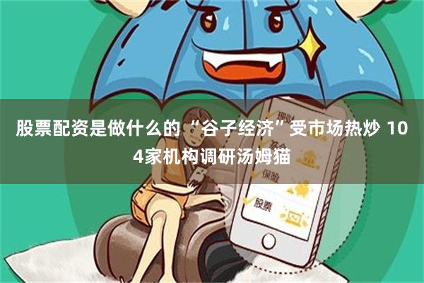 股票配资是做什么的 “谷子经济”受市场热炒 104家机构调研汤姆猫