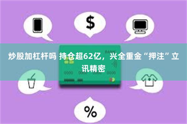 炒股加杠杆吗 持仓超62亿，兴全重金“押注”立讯精密