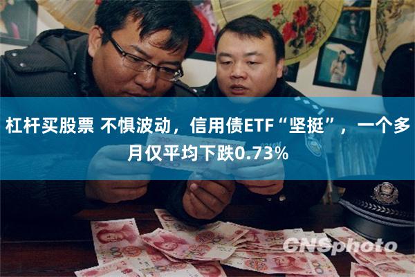 杠杆买股票 不惧波动，信用债ETF“坚挺”，一个多月仅平均下跌0.73%