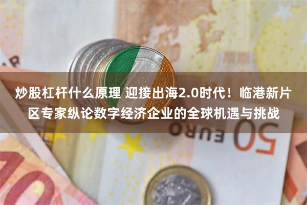 炒股杠杆什么原理 迎接出海2.0时代！临港新片区专家纵论数字经济企业的全球机遇与挑战