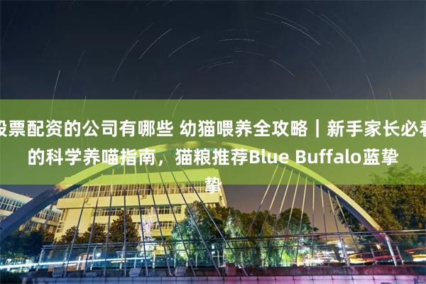 股票配资的公司有哪些 幼猫喂养全攻略｜新手家长必看的科学养喵指南，猫粮推荐Blue Buffalo蓝挚