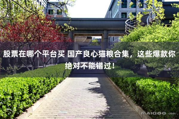 股票在哪个平台买 国产良心猫粮合集，这些爆款你绝对不能错过！