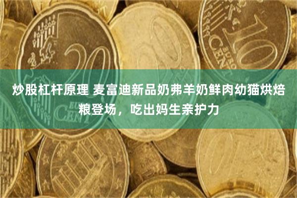 炒股杠杆原理 麦富迪新品奶弗羊奶鲜肉幼猫烘焙粮登场，吃出妈生亲护力