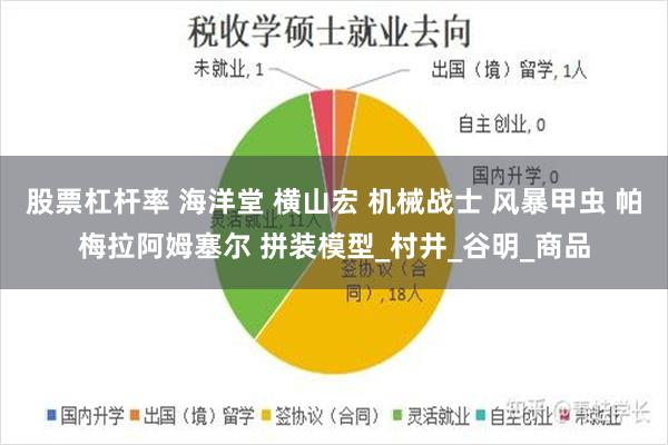 股票杠杆率 海洋堂 横山宏 机械战士 风暴甲虫 帕梅拉阿姆塞尔 拼装模型_村井_谷明_商品