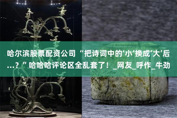 哈尔滨股票配资公司 “把诗词中的‘小’换成‘大’后...？”哈哈哈评论区全乱套了！_网友_呼作_牛劲