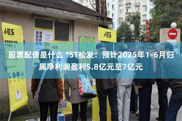 股票配债是什么 *ST松发：预计2025年1-6月归属净利润盈利5.8亿元至7亿元