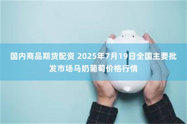 国内商品期货配资 2025年7月19日全国主要批发市场马奶葡萄价格行情