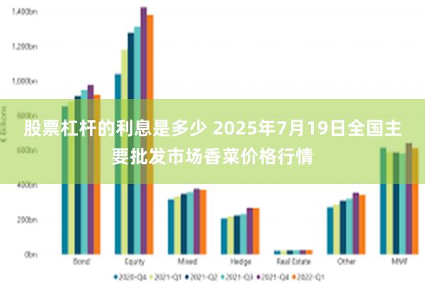 股票杠杆的利息是多少 2025年7月19日全国主要批发市场香菜价格行情
