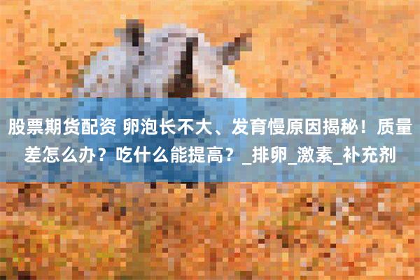 股票期货配资 卵泡长不大、发育慢原因揭秘！质量差怎么办？吃什么能提高？_排卵_激素_补充剂