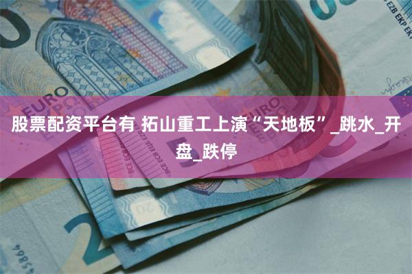 股票配资平台有 拓山重工上演“天地板”_跳水_开盘_跌停