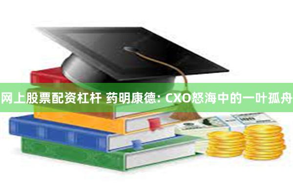 网上股票配资杠杆 药明康德: CXO怒海中的一叶孤舟