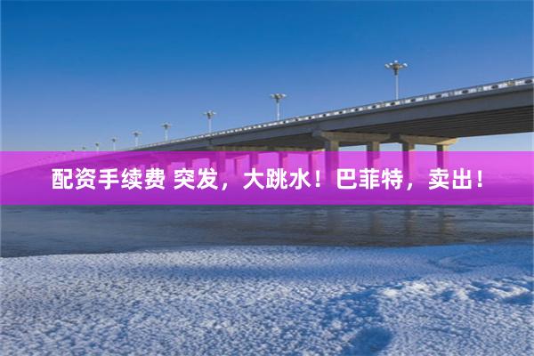 配资手续费 突发，大跳水！巴菲特，卖出！