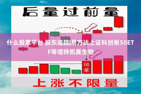 什么股票平台 股东追踪|易方达上证科创板50ETF等增持凯赛生物