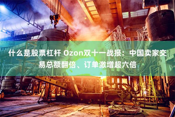 什么是股票杠杆 Ozon双十一战报：中国卖家交易总额翻倍、订单激增超六倍